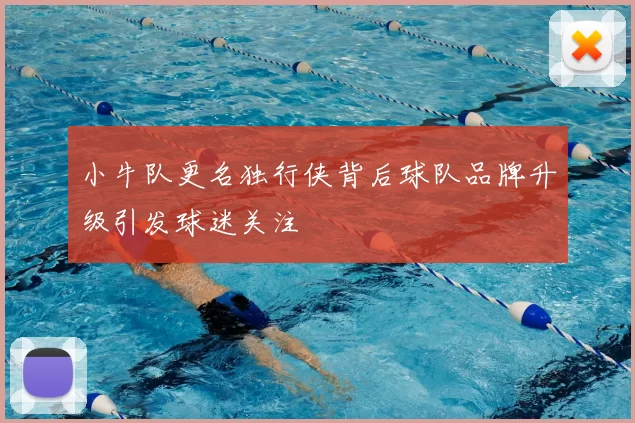 小牛队更名独行侠背后球队品牌升级引发球迷关注