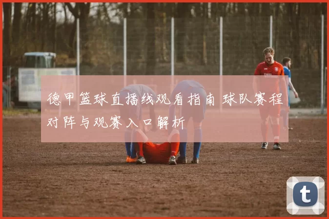 德甲篮球直播线观看指南 球队赛程对阵与观赛入口解析