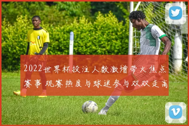 2022世界杯投注人数激增带火焦点赛事 观赛热度与球迷参与双双走高