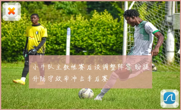 小牛队主教练赛后谈调整阵容 盼提升防守效率冲击季后赛